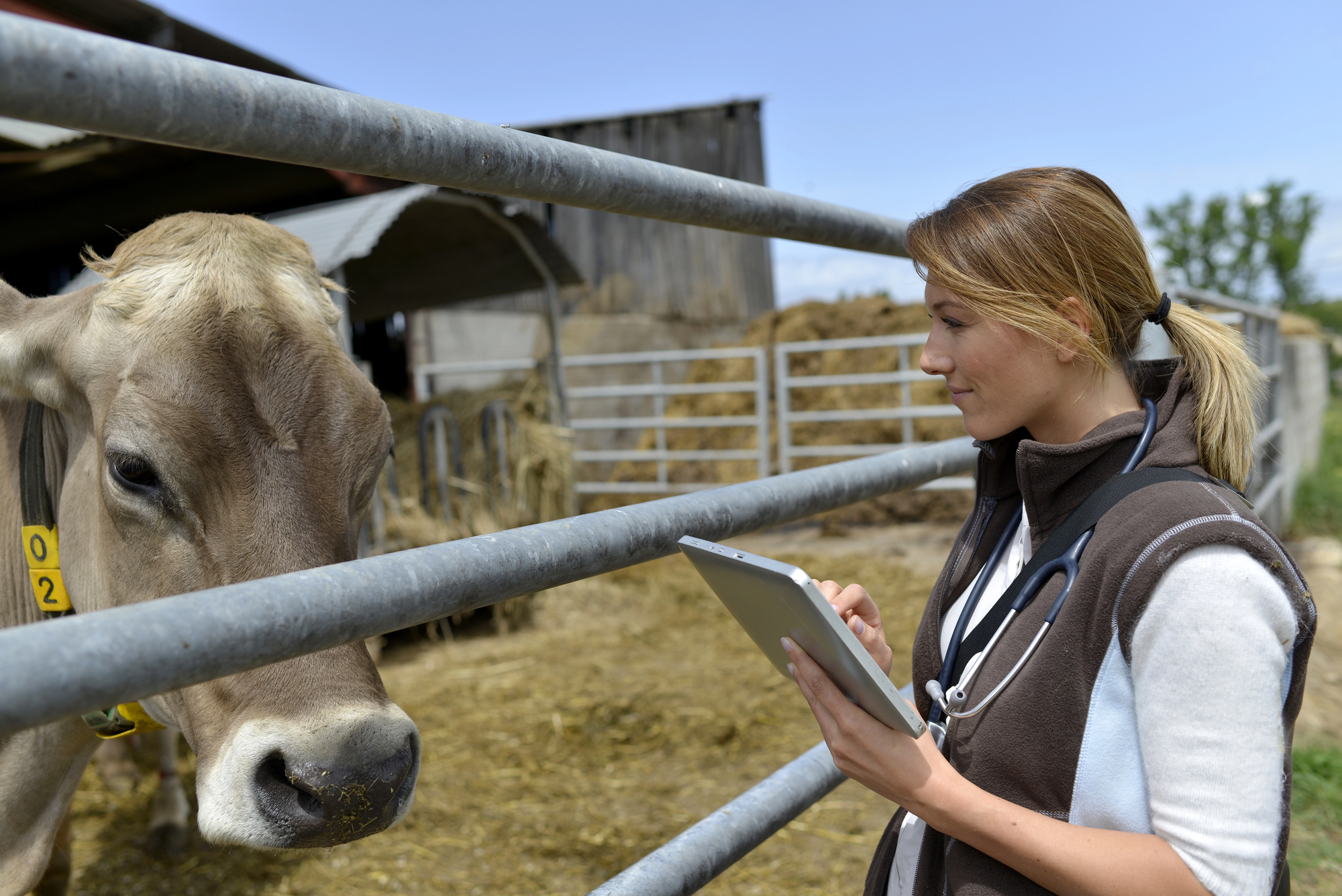 NASDA Foundation receives USDA grant to introduce students to careers in veterinary medicine — KFGO