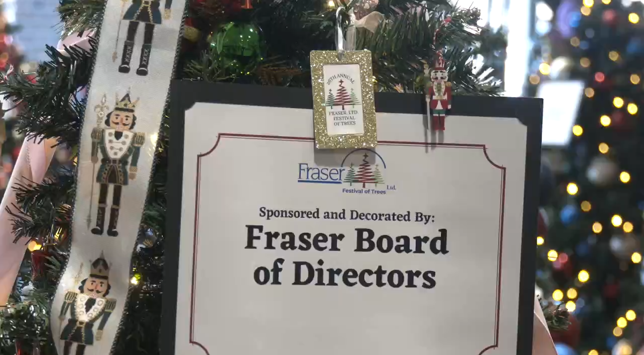 Festival of Trees at Fargodome with beautifully decorated Christmas trees.